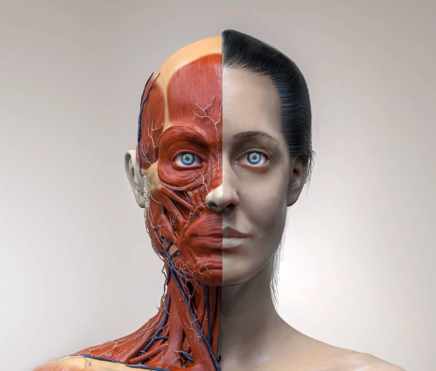 botox nerve injections